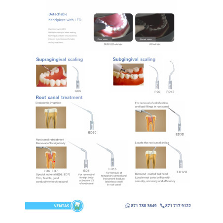 Cavitrón Escareador Dental Ultrasónico D600 LED DTE